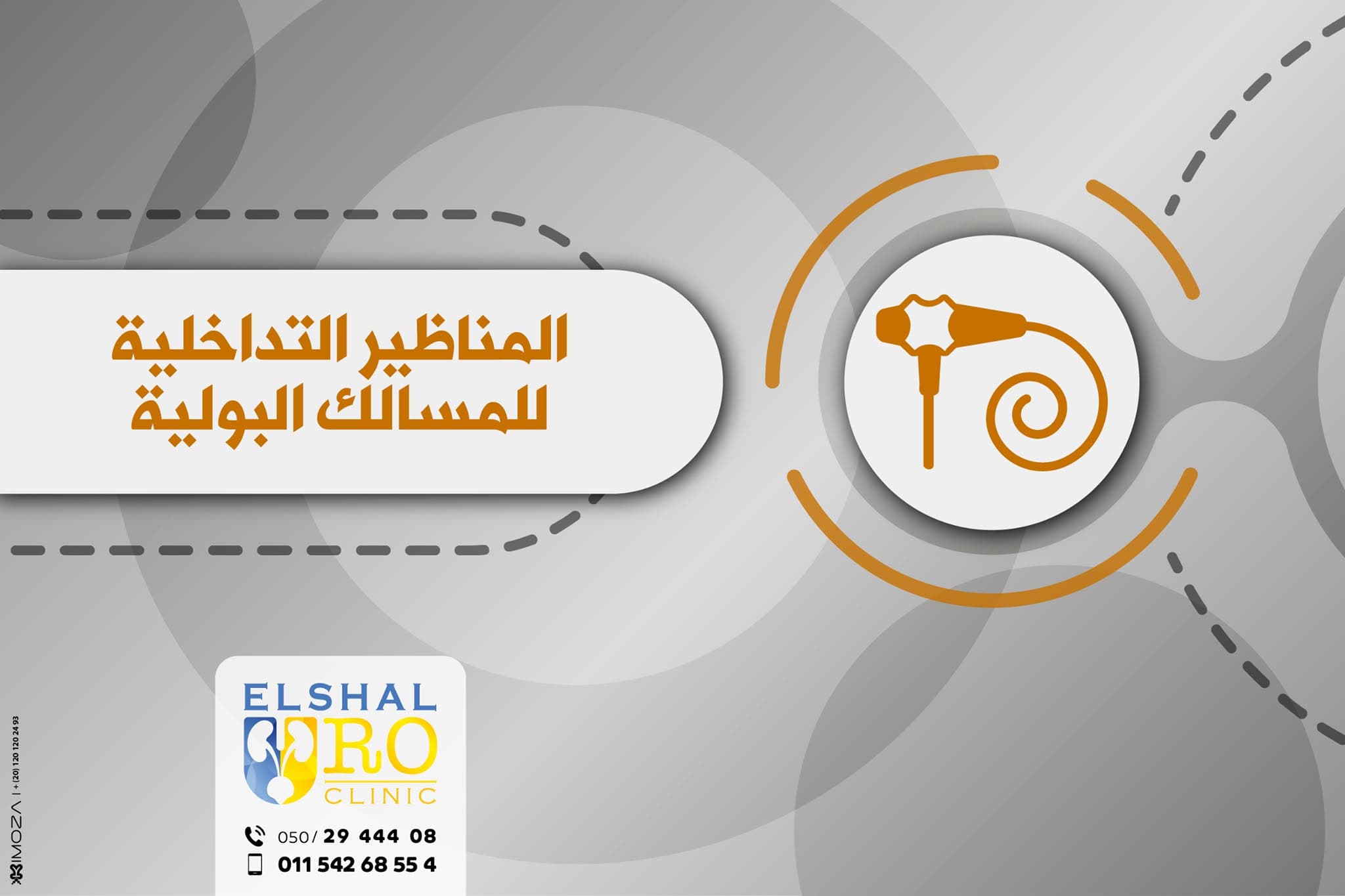 Interventional Urology Endoscopy